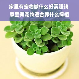 家里有宠物做什么好卖赚钱 家里有宠物适合养什么绿植