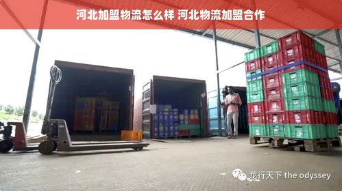 河北加盟物流怎么样 河北物流加盟合作