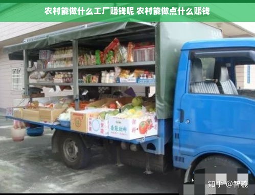 农村能做什么工厂赚钱呢 农村能做点什么赚钱