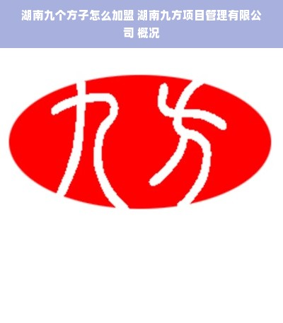 湖南九个方子怎么加盟 湖南九方项目管理有限公司 概况