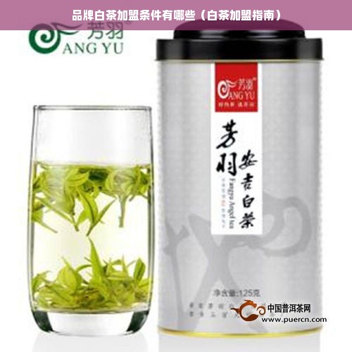 品牌白茶加盟条件有哪些（白茶加盟指南）