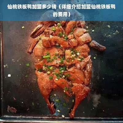 仙桃铁板鸭加盟多少钱（详细介绍加盟仙桃铁板鸭的费用）