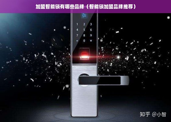 加盟智能锁有哪些品牌（智能锁加盟品牌推荐）