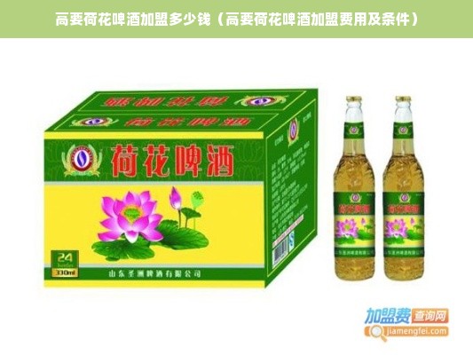 嵩县环保铝制家居品牌，引领绿色生活新潮流
