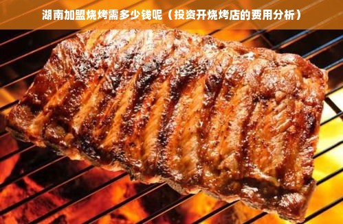 湖南加盟烧烤需多少钱呢（投资开烧烤店的费用分析）