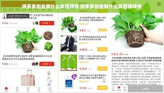拼多多创业做什么类目赚钱 拼多多创业做什么类目赚钱快