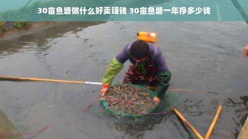 昆明市早教加盟连锁品牌探析