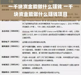 一千块资金能做什么赚钱 一千块资金能做什么赚钱项目
