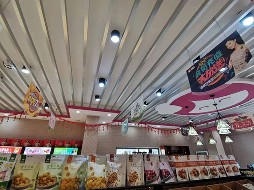 湛江加盟品牌有哪些店铺（湛江加盟市场调查）