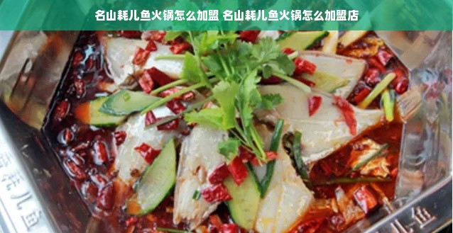 名山耗儿鱼火锅怎么加盟 名山耗儿鱼火锅怎么加盟店