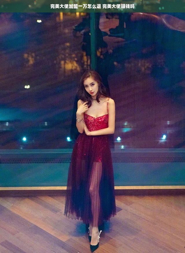 完美大使加盟一万怎么退 完美大使赚钱吗