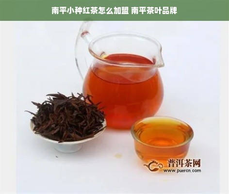 南平小种红茶怎么加盟 南平茶叶品牌