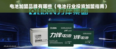 电池加盟品牌有哪些（电池行业投资加盟指南）