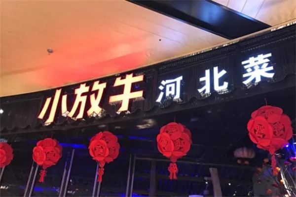 河北菜小放牛加盟费多少（详解加盟条件和费用）