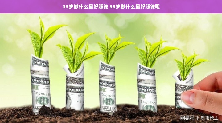 羊小咩便荔卡取现页面消失的背后，原因解析与应对策略