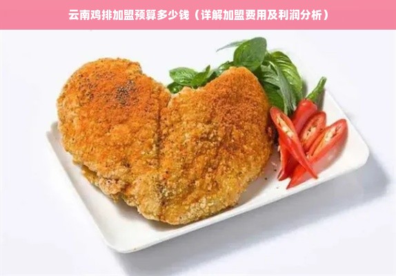 云南鸡排加盟预算多少钱（详解加盟费用及利润分析）