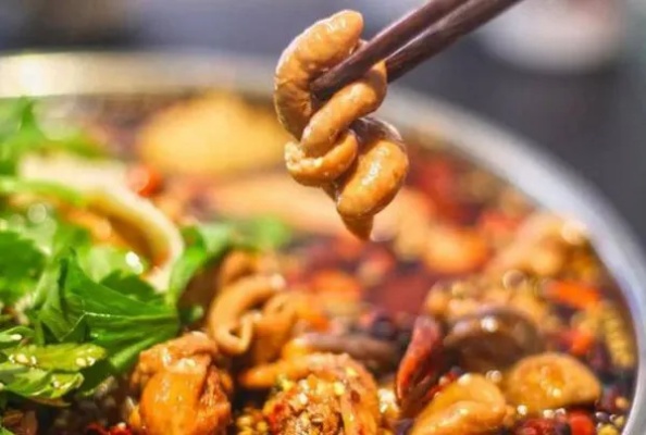 茶陵肥肠鸡火锅加盟多少钱（详解加盟费用及流程）