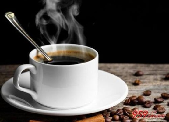 2023年最受欢迎的可带走的冰箱品牌排行及选购指南