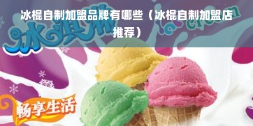 冰棍自制加盟品牌有哪些（冰棍自制加盟店推荐）