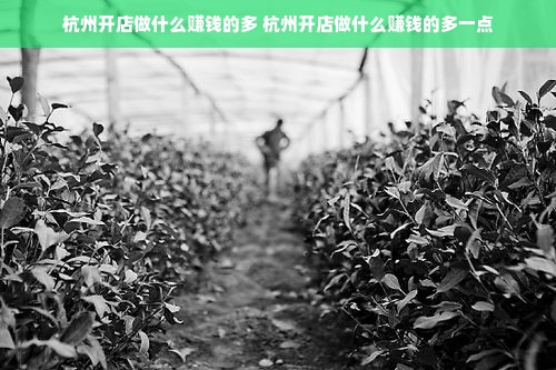 杭州开店做什么赚钱的多 杭州开店做什么赚钱的多一点