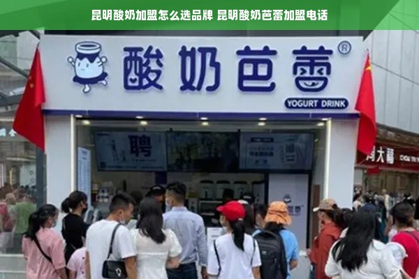昆明酸奶加盟怎么选品牌 昆明酸奶芭蕾加盟电话