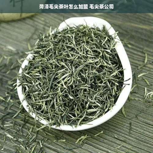 菏泽毛尖茶叶怎么加盟 毛尖茶公司