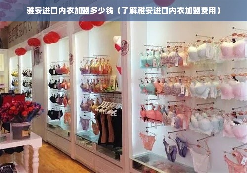 雅安进口内衣加盟多少钱（了解雅安进口内衣加盟费用）