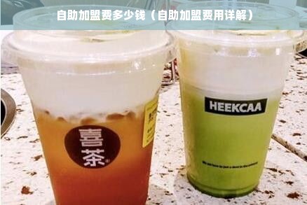 自助加盟费多少钱（自助加盟费用详解）