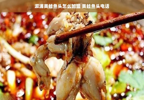 一次性干洗店套袋品牌盘点，环保与品质的完美结合