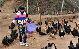以前在农村做什么生意赚钱 这年代在农村做什么行业最赚钱
