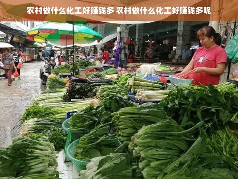 农村做什么化工好赚钱多 农村做什么化工好赚钱多呢