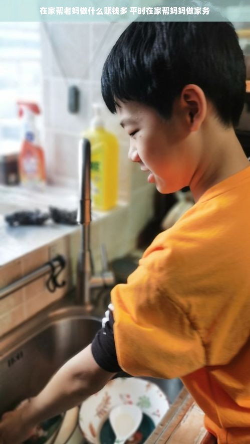 在家帮老妈做什么赚钱多 平时在家帮妈妈做家务
