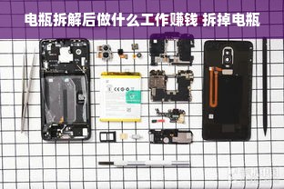 电瓶拆解后做什么工作赚钱 拆掉电瓶