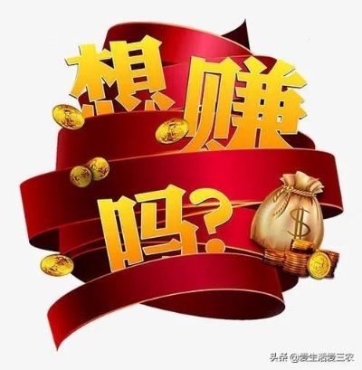 羊小咩便荔卡额度提现攻略，一般额度揭秘及提现案例