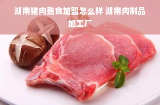 东南亚家电排名品牌深度解析