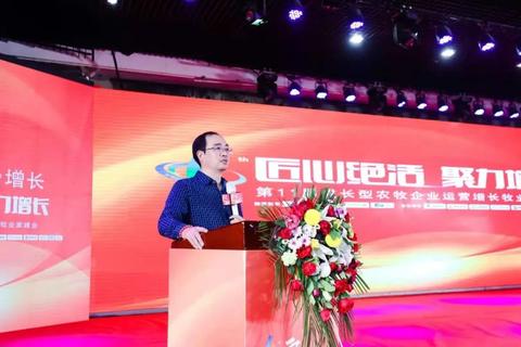 京东白条额度操作详解，如何提升与降低额度，警惕套现风险