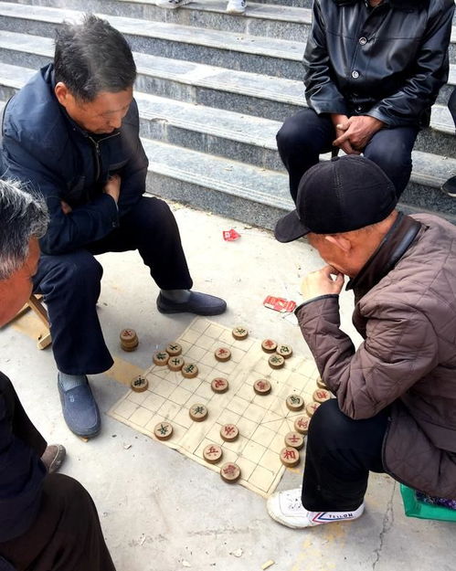农村老头能做什么赚钱的 农村老人能干什么挣钱