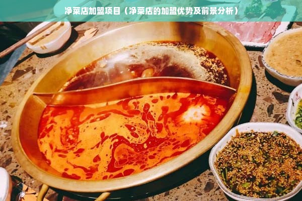 净菜店加盟项目（净菜店的加盟优势及前景分析）