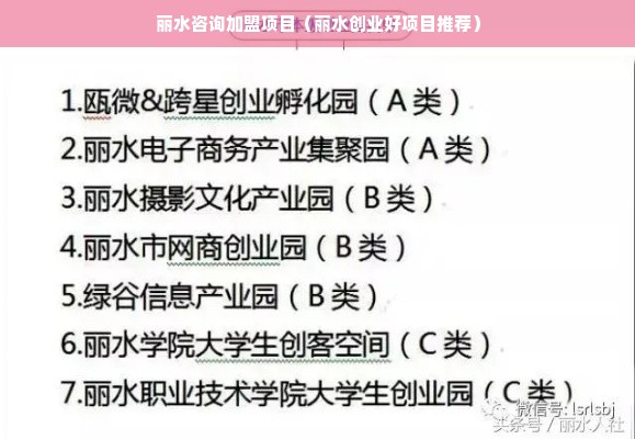 丽水咨询加盟项目（丽水创业好项目推荐）