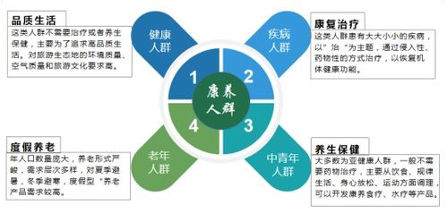 海南小家电品牌大揭秘，多样选择与独特魅力