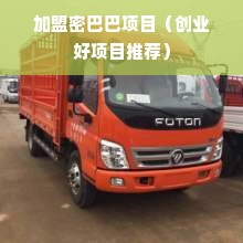 加盟密巴巴项目（创业好项目推荐）