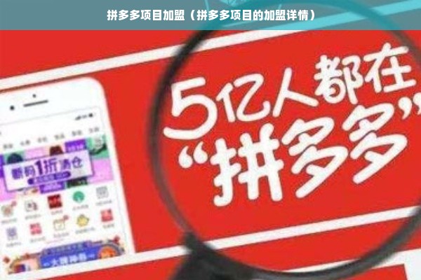 拼多多项目加盟（拼多多项目的加盟详情）