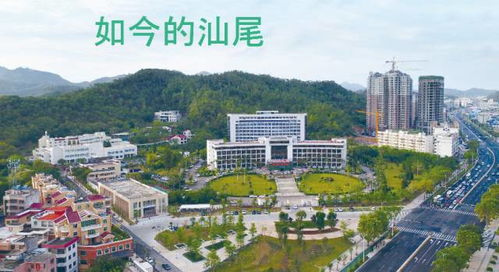 汕尾有什么好的投资项目（汕尾投资指南）