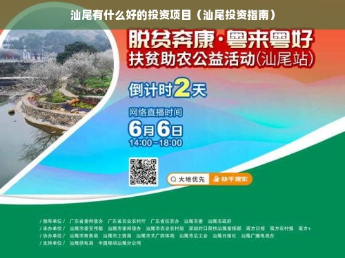 汕尾有什么好的投资项目（汕尾投资指南）