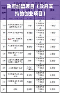 政府加盟项目（政府支持的创业项目）