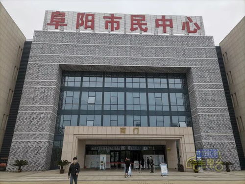 医药品牌拓展计划详解