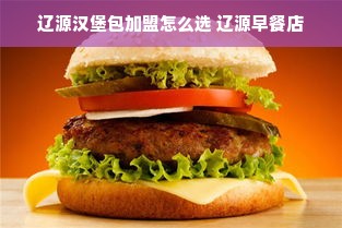 辽源汉堡包加盟怎么选 辽源早餐店