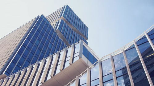 哈尔信怎么加盟（哈尔信加盟条件及流程）