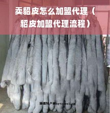卖貂皮怎么加盟代理（貂皮加盟代理流程）