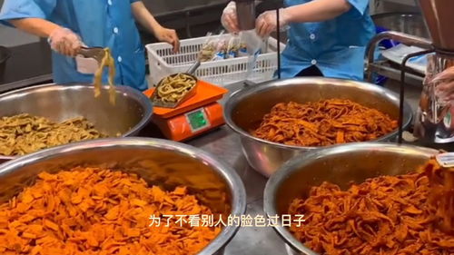 抖音月付额度怎么套出来？抖音月付怎样查看额度？